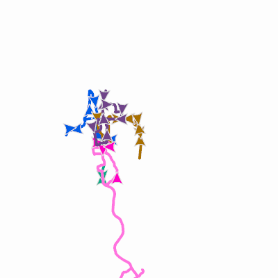 Export Image