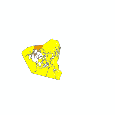 Export Image
